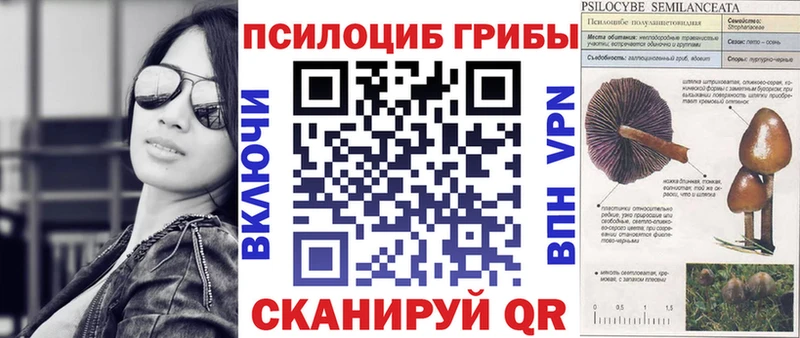 Купить  Пущино  Псилоцибиновые грибы ЛСД 